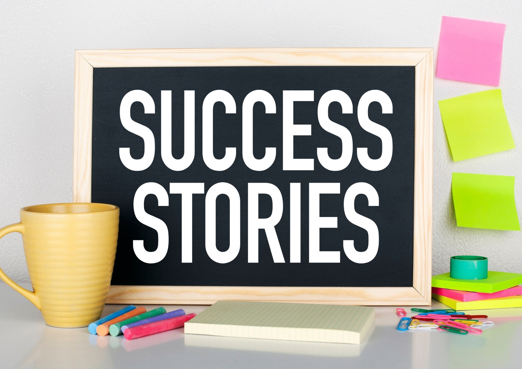 Misha ezratti net worth