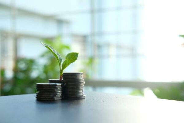 Safest Investments for Beginners in 2026