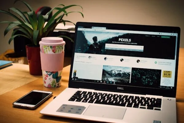 How to Create a Website for Small Business USA